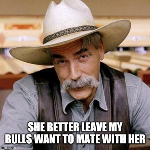 SARCASM COWBOY | SHE BETTER LEAVE MY BULLS WANT TO MATE WITH HER | image tagged in sarcasm cowboy | made w/ Imgflip meme maker