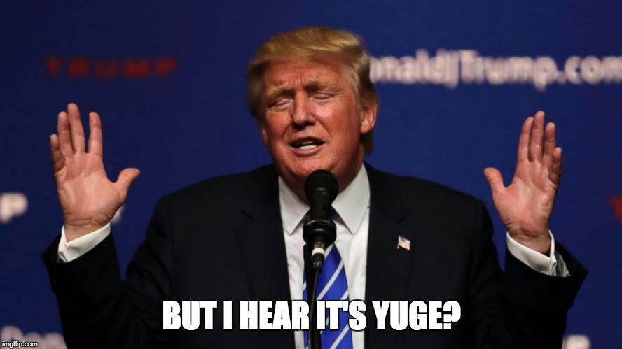 Trump Yuge! | BUT I HEAR IT'S YUGE? | image tagged in trump yuge | made w/ Imgflip meme maker