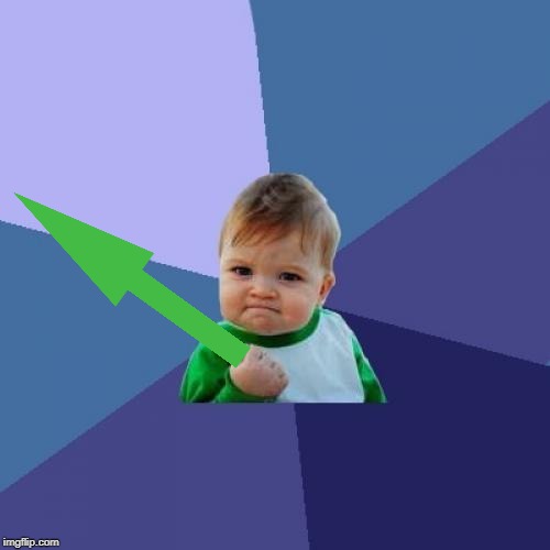 Success Kid Meme | image tagged in memes,success kid | made w/ Imgflip meme maker