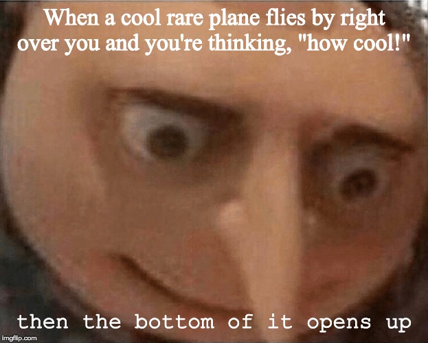uh oh Gru | When a cool rare plane flies by right over you and you're thinking, "how cool!"; then the bottom of it opens up | image tagged in uh oh gru | made w/ Imgflip meme maker
