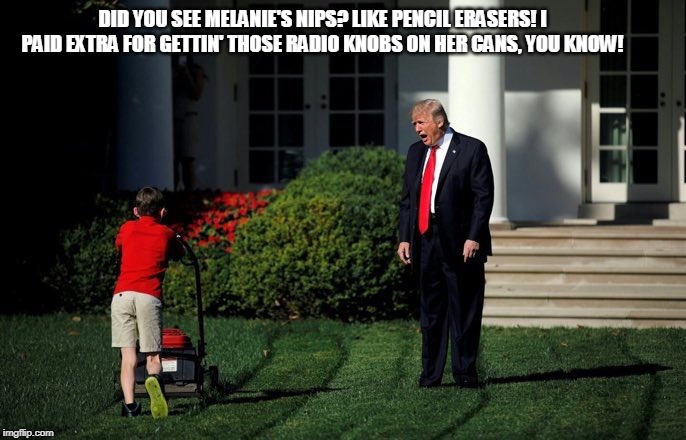 Did you see those nips on the wife? | DID YOU SEE MELANIE'S NIPS? LIKE PENCIL ERASERS! I PAID EXTRA FOR GETTIN' THOSE RADIO KNOBS ON HER CANS, YOU KNOW! | image tagged in trump lawn mower,melania trump,nipples,trump nipples,donald trump,trump yells at lawnmower kid | made w/ Imgflip meme maker