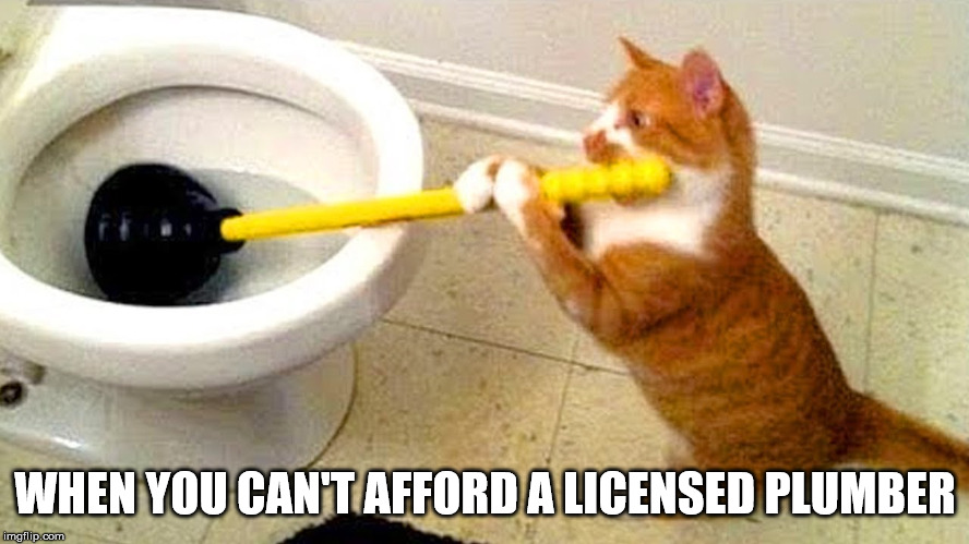 cat plumber | WHEN YOU CAN'T AFFORD A LICENSED PLUMBER | image tagged in cat plumber | made w/ Imgflip meme maker