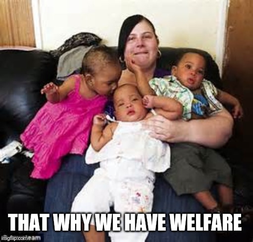 welfare mother | THAT WHY WE HAVE WELFARE | image tagged in welfare mother | made w/ Imgflip meme maker