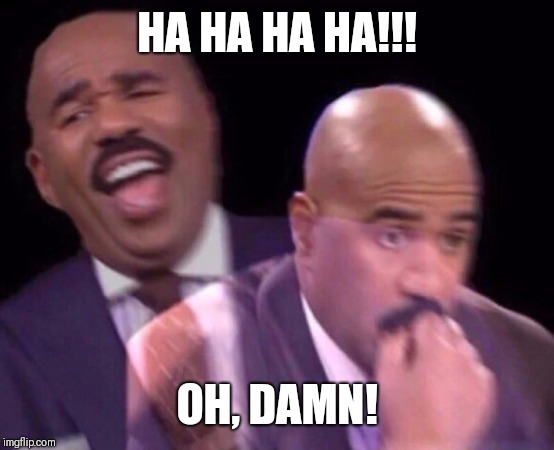 Steve Harvey Laughing Serious | HA HA HA HA!!! OH, DAMN! | image tagged in steve harvey laughing serious | made w/ Imgflip meme maker