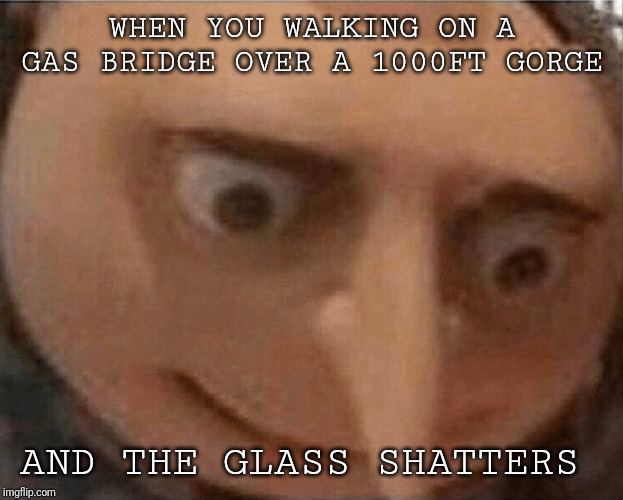 uh oh Gru | WHEN YOU WALKING ON A GAS BRIDGE OVER A 1000FT GORGE; AND THE GLASS SHATTERS | image tagged in uh oh gru | made w/ Imgflip meme maker