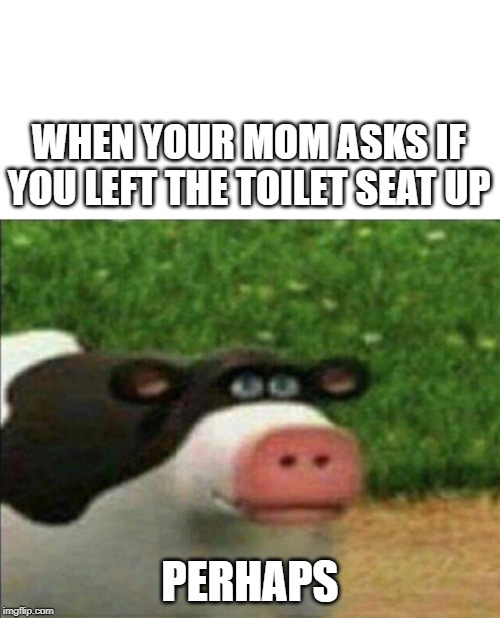Perhaps cow | WHEN YOUR MOM ASKS IF YOU LEFT THE TOILET SEAT UP; PERHAPS | image tagged in perhaps cow | made w/ Imgflip meme maker