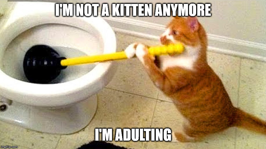 cat plumber | I'M NOT A KITTEN ANYMORE; I'M ADULTING | image tagged in cat plumber | made w/ Imgflip meme maker