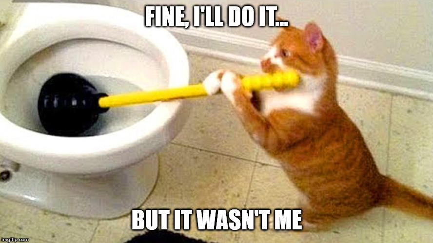 cat plumber | FINE, I'LL DO IT... BUT IT WASN'T ME | image tagged in cat plumber | made w/ Imgflip meme maker
