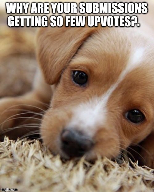 Puppy eyes  | WHY ARE YOUR SUBMISSIONS GETTING SO FEW UPVOTES?. | image tagged in puppy eyes | made w/ Imgflip meme maker