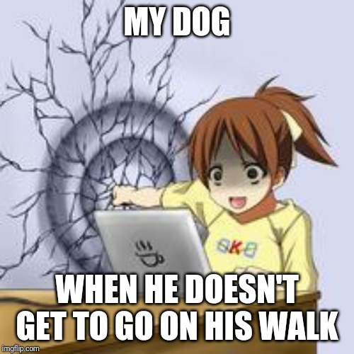 Anime wall punch | MY DOG; WHEN HE DOESN'T GET TO GO ON HIS WALK | image tagged in anime wall punch | made w/ Imgflip meme maker
