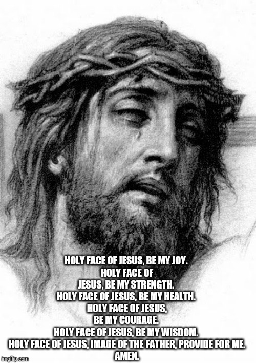 Holy Face of Jesus Prayer | HOLY FACE OF JESUS, BE MY JOY. 
HOLY FACE OF JESUS, BE MY STRENGTH. 
HOLY FACE OF JESUS, BE MY HEALTH. 
HOLY FACE OF JESUS, BE MY COURAGE. 
HOLY FACE OF JESUS, BE MY WISDOM. 
HOLY FACE OF JESUS, IMAGE OF THE FATHER, PROVIDE FOR ME.
AMEN. | image tagged in catholic,christianity,holy spirit,holy bible,prayers,health | made w/ Imgflip meme maker