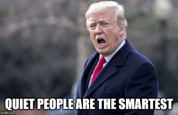 Donald Trump Roasts | QUIET PEOPLE ARE THE SMARTEST | image tagged in funny memes,memes,donald trump | made w/ Imgflip meme maker