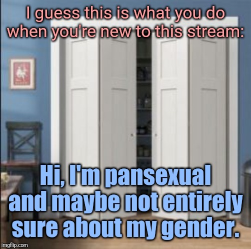 even though I never really considered myself "in the closet" this feels right ? | I guess this is what you do when you're new to this stream:; Hi, I'm pansexual and maybe not entirely sure about my gender. | image tagged in closet | made w/ Imgflip meme maker