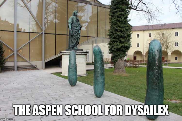 Pickles | THE ASPEN SCHOOL FOR DYSAILEX | image tagged in pickles | made w/ Imgflip meme maker