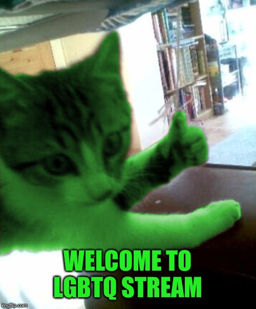 thumbs up RayCat | WELCOME TO LGBTQ STREAM | image tagged in thumbs up raycat | made w/ Imgflip meme maker