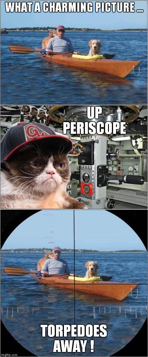 Cap't Grumpy On The High Seas ! | WHAT A CHARMING PICTURE ... UP PERISCOPE; TORPEDOES AWAY ! | image tagged in cat,grumpy cat,doggy paddle,submarine | made w/ Imgflip meme maker