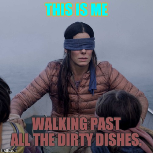 Bird Box | THIS IS ME; WALKING PAST ALL THE DIRTY DISHES. | image tagged in memes,bird box | made w/ Imgflip meme maker