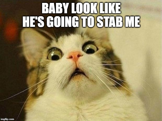 Scared Cat Meme | BABY LOOK LIKE HE'S GOING TO STAB ME | image tagged in memes,scared cat | made w/ Imgflip meme maker