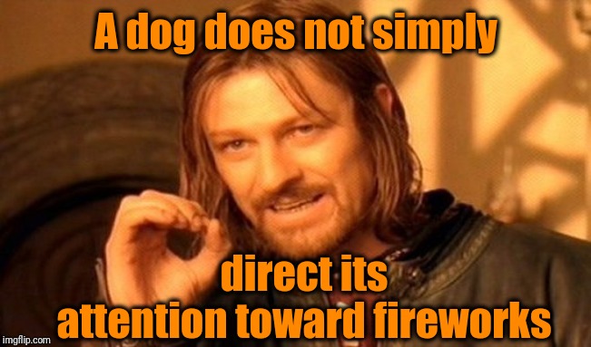 One Does Not Simply Meme | A dog does not simply direct its attention toward fireworks | image tagged in memes,one does not simply | made w/ Imgflip meme maker