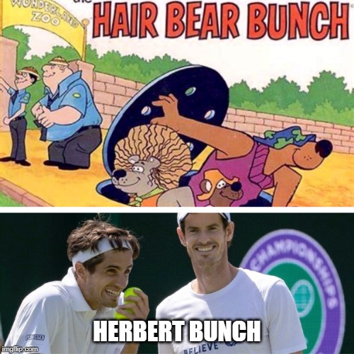 Hair Bear Bunches? |  HERBERT BUNCH | image tagged in wimbledon,tennis,observation,humour,andy murray,pierre-hugues herbert | made w/ Imgflip meme maker