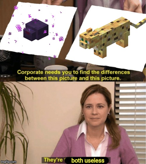 They're The Same Picture | both useless | image tagged in office same picture | made w/ Imgflip meme maker