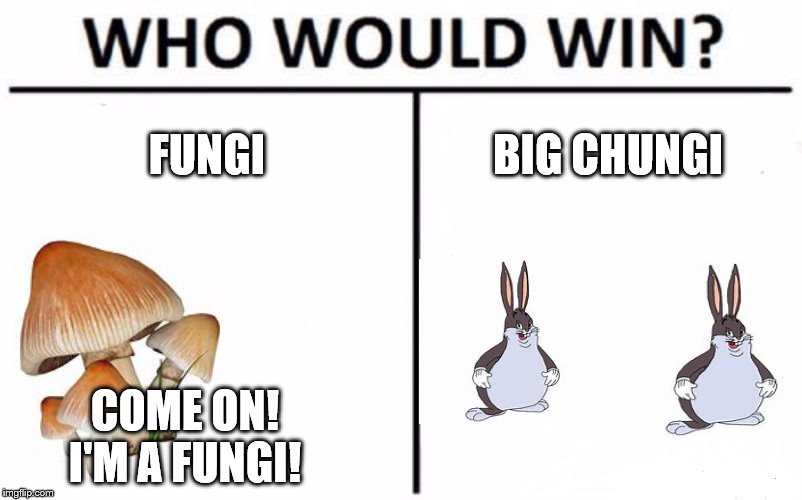 Who Would Win? Meme | FUNGI; BIG CHUNGI; COME ON! I'M A FUNGI! | image tagged in memes,who would win | made w/ Imgflip meme maker