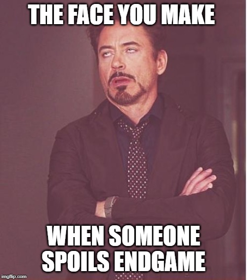 Endgame spoiler | THE FACE YOU MAKE; WHEN SOMEONE SPOILS ENDGAME | image tagged in memes,face you make robert downey jr | made w/ Imgflip meme maker