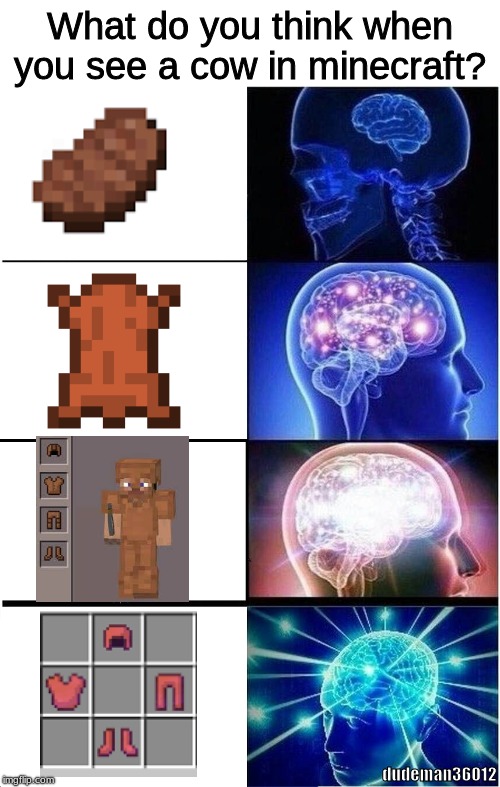 What do you think when you see a cow in minecraft? dudeman36012 | image tagged in memes,expanding brain,minecraft,funny,too much minecraft | made w/ Imgflip meme maker