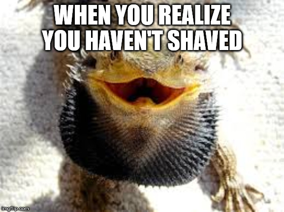 WHEN YOU REALIZE YOU HAVEN'T SHAVED | image tagged in dragon | made w/ Imgflip meme maker