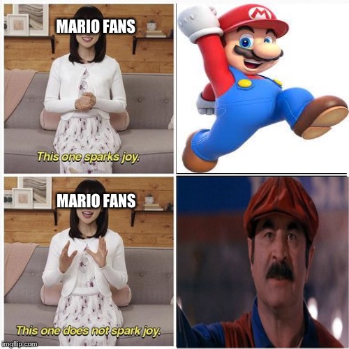 Why the Mario Movie Sucked | MARIO FANS; MARIO FANS | image tagged in this one sparks joy,mario,nintendo,super mario bros | made w/ Imgflip meme maker