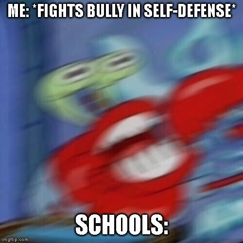 Mr krabs blur | ME: *FIGHTS BULLY IN SELF-DEFENSE*; SCHOOLS: | image tagged in mr krabs blur | made w/ Imgflip meme maker