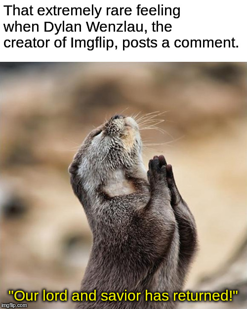 His most recent comment was 2 months ago. His comment before that was 5 years ago! | That extremely rare feeling when Dylan Wenzlau, the creator of Imgflip, posts a comment. "Our lord and savior has returned!" | image tagged in praying otter,imgflip,savior,creator | made w/ Imgflip meme maker