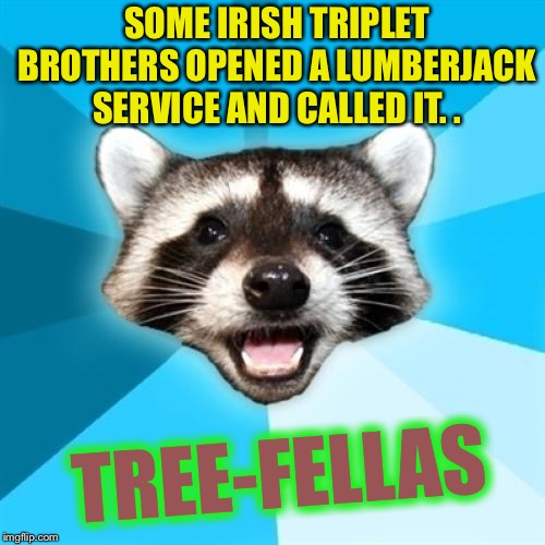 Yes I know ...
FECK OFF RICARDO YER GOBSHITE !! | SOME IRISH TRIPLET BROTHERS OPENED A LUMBERJACK SERVICE AND CALLED IT. . TREE-FELLAS | image tagged in memes,lame pun coon,irish,accent,joke,timiddeer | made w/ Imgflip meme maker