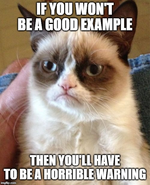 Grumpy Cat Meme | IF YOU WON'T BE A GOOD EXAMPLE; THEN YOU'LL HAVE TO BE A HORRIBLE WARNING | image tagged in memes,grumpy cat,catherine the great | made w/ Imgflip meme maker