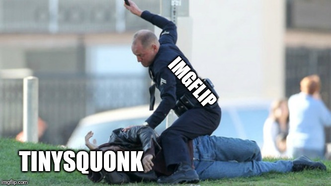 Cop Beating | IMGFLIP TINYSQUONK | image tagged in cop beating | made w/ Imgflip meme maker