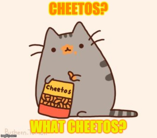 pusheen stole the cheetos | CHEETOS? WHAT CHEETOS? | image tagged in pusheen stole the cheetos | made w/ Imgflip meme maker