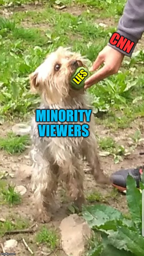 CNN only cares about pushing it's hate and anti-America agenda on the gullible. | CNN; LIES; MINORITY VIEWERS | image tagged in my doggo getting a ball,memes,political meme,cnn fake news | made w/ Imgflip meme maker