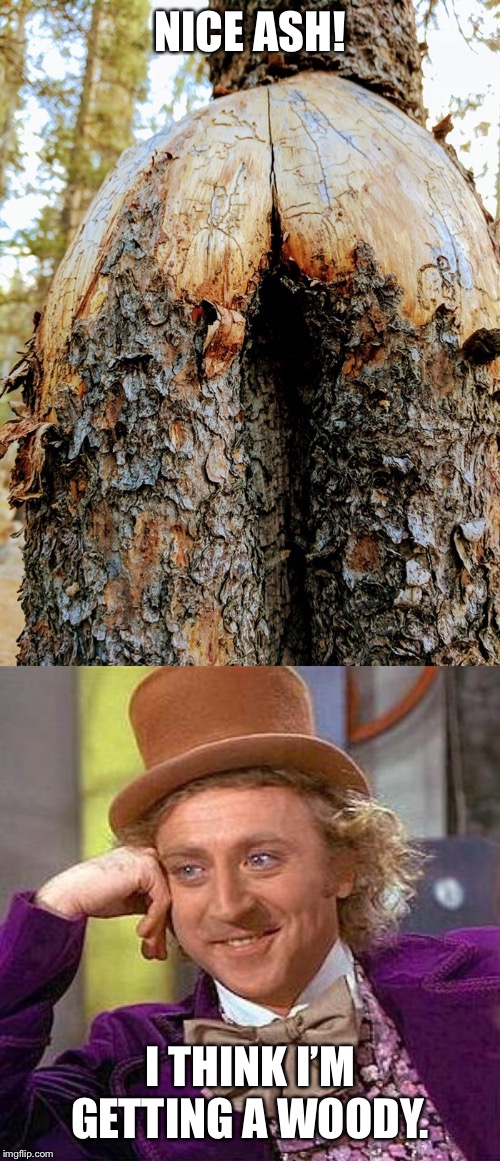 NICE ASH! I THINK I’M GETTING A WOODY. | image tagged in memes,creepy condescending wonka | made w/ Imgflip meme maker