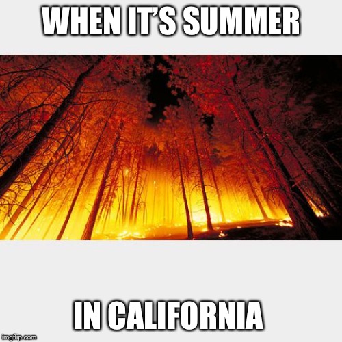 wildfires | WHEN IT’S SUMMER IN CALIFORNIA | image tagged in wildfires | made w/ Imgflip meme maker