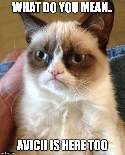 Grumpy Cat | WHAT DO YOU MEAN.. AVICII IS HERE TOO | image tagged in memes,grumpy cat | made w/ Imgflip meme maker