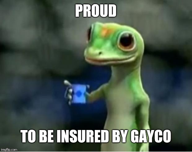 Geico Gecko | PROUD; TO BE INSURED BY GAYCO | image tagged in geico gecko | made w/ Imgflip meme maker