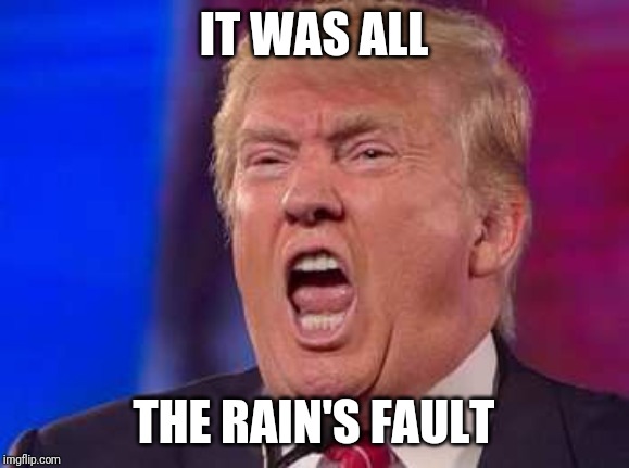 Screaming trumpertantrum | IT WAS ALL; THE RAIN'S FAULT | image tagged in screaming trumpertantrum,trump,rain,take the airports,4th of july | made w/ Imgflip meme maker
