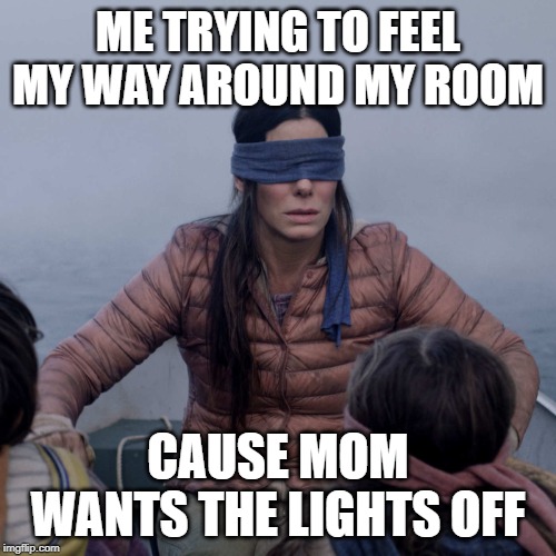 Bird Box Meme | ME TRYING TO FEEL MY WAY AROUND MY ROOM; CAUSE MOM WANTS THE LIGHTS OFF | image tagged in memes,bird box | made w/ Imgflip meme maker