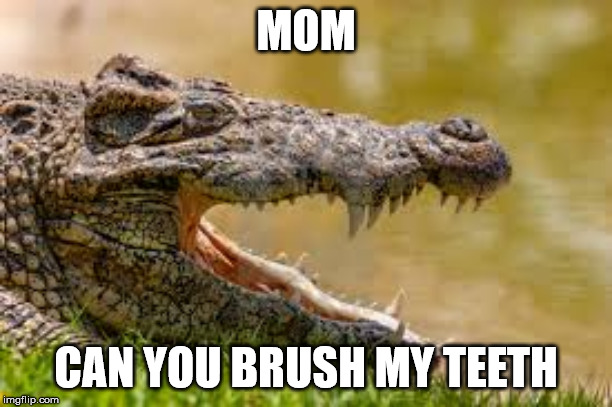 MOM; CAN YOU BRUSH MY TEETH | image tagged in croc | made w/ Imgflip meme maker