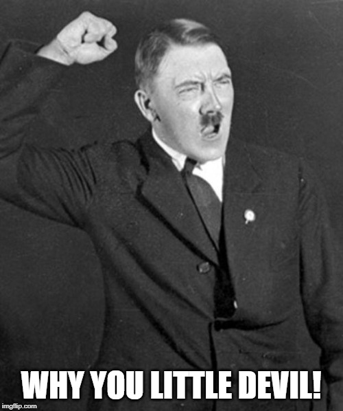 Angry Hitler | WHY YOU LITTLE DEVIL! | image tagged in angry hitler | made w/ Imgflip meme maker