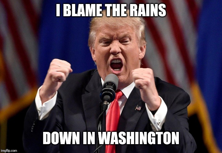 Trump Screaming | I BLAME THE RAINS; DOWN IN WASHINGTON | image tagged in trump screaming,trump,rain,4th of july | made w/ Imgflip meme maker