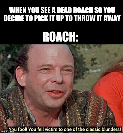 You fool! You fell victim to one of the classic blunders! | WHEN YOU SEE A DEAD ROACH SO YOU DECIDE TO PICK IT UP TO THROW IT AWAY; ROACH: | image tagged in you fool you fell victim to one of the classic blunders | made w/ Imgflip meme maker