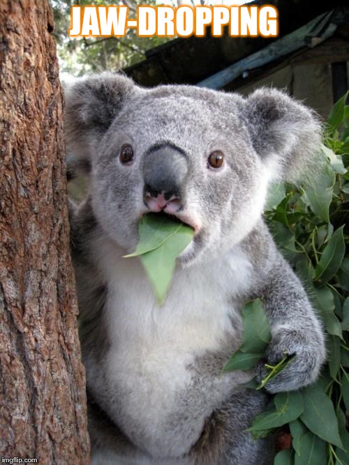 Surprised Koala | JAW-DROPPING | image tagged in memes,surprised koala | made w/ Imgflip meme maker