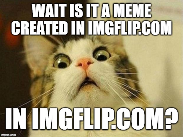 Scared Cat Meme | WAIT IS IT A MEME CREATED IN IMGFLIP.COM IN IMGFLIP.COM? | image tagged in memes,scared cat | made w/ Imgflip meme maker