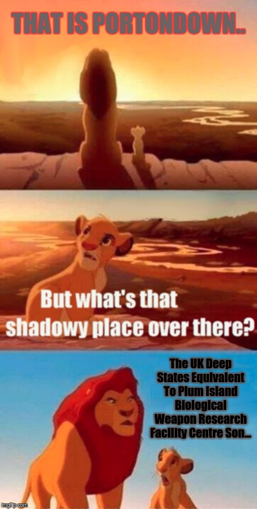 Simba Shadowy Place Meme | THAT IS PORTONDOWN.. The UK Deep States Equivalent To Plum Island Biological Weapon Research Facility Centre Son... | image tagged in memes,simba shadowy place,the great awakening,scum,scumbags,qanon | made w/ Imgflip meme maker